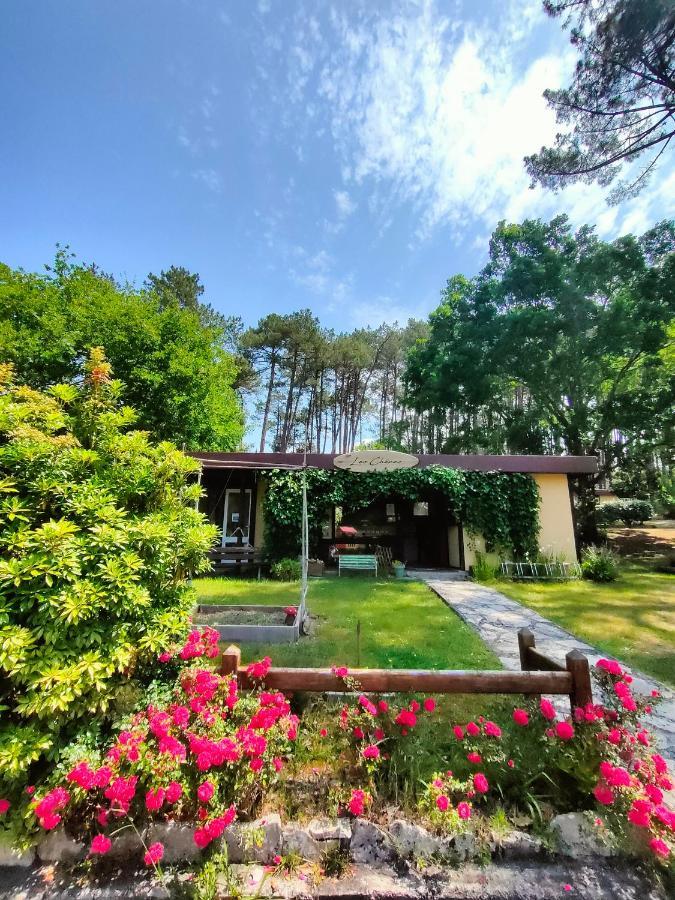 Village Vacances Les Chenes De Leon Exterior photo